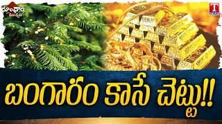 Gold from Tree Leaves? Scientists Discover | Dhoom Dhaam | T News