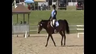 Maddy & Luke - Training Level Test 4
