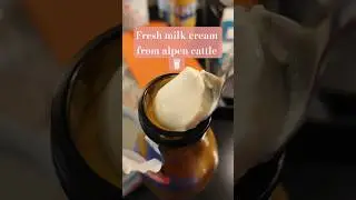 Frische AlpenMilch🥛 #milk #alps #germany #switzerland #milkcream #food #swissalps