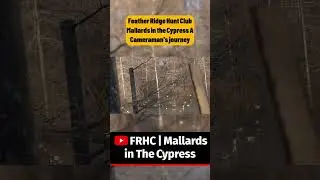 Feather Ridge Hunt Club | A Cameraman's Journey. Panties Down - #waterfowl #ducks #Cypress #mallards