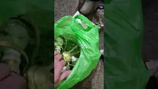 Обзор на добытый хабар