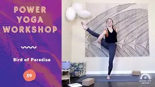 Bird of Paradise - 40 min. - Power Yoga Workshop | Practice with Courtney