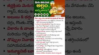 Ginger Benefits for Health & Wellness - Digestion, Immunity, Weight Loss, Diabetes, Heart, Brain
