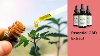 Essential CBD Extract Review - Get Relief From All Type of Body Pain and Stress!
