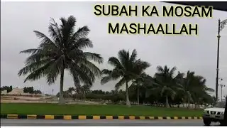Morning  Time   #Greenery # Vlog#