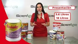 Pintura Acr&iacute;lica Ouro Engomada - Resicolor