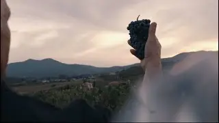 О винодельне Додичи