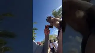 Beware traveling to the Dominican Republic!! 😂#travel #traveling #monkey #funny #fyp #travelvlog