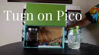 Smart Plant Shipping Box Build| Water Pump + Soil Sensor + LED Grow Light | Raspberry Pi Pico