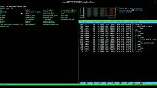 Simple Buffer Overflow wiith python