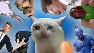 There are no good Memes in 2019... So far - VRCHAT
