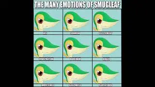 Epic Smugleaf memes ever