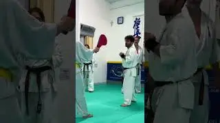KICKS COMBINATIONS TRAINING - Kyokushin Karate