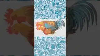 How do chickens mate / reproduce? #shot