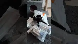 Проверяю, что там такое прислали) #оле7 #cat #котофейка #ластёна #кот #видосыоткота #котик #котики