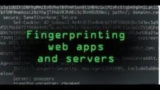 HTTP-фингерпринтинг и HTTP-разведка || Браузерный фингерпринтинг