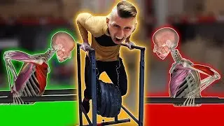 Popraw swoje DIPY pompki na poręczach  Owca vlog