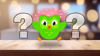 Finding my Duolingo.. (Plot Twist)