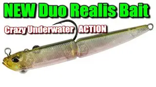 The NEW Japanese Bait You Need NOW To Catch More Fish Than Ever