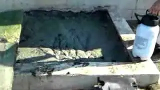 Crop Oil