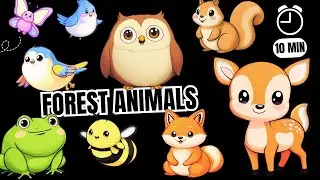Forest Animal Party | Sensory Video for Babies with Cute Forest Animals #babysensory