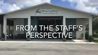 Therapeutic Riding from the Staff's Perspective - Equine Manager