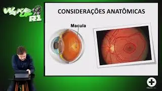 Wake UP R1 - #3 - Voc&ecirc; sabe o que &eacute; Macula? F&oacute;vea?