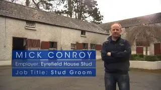 2016 Irish Godolphin Stud And Stable Staff Awards - Stud Employee Award Finalists