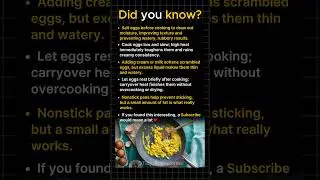 How To Make Eggs Perfectly Every Time