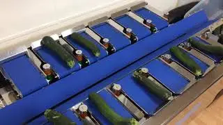 pesage courgettes TSDW 205 Yamato