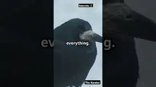 The Bird's Secret: A Locked Room Mystery || A Short Mystery English Story || The Narator