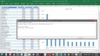 Ms Excel Report Automation from SQL Server Using VBA Excel