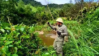 Solo bushcraft camp in Vietnam, catch & cook, off grid, overnight in the wild. ASMR