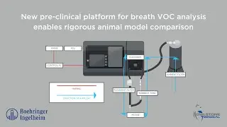 New pre-clinical platform for breath VOC analysis enables rigorous animal model comparison