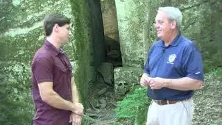 Southern Illinois Treasures  Jackson Falls