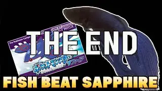 A PET FISH BEAT POKEMON SAPPHIRE in 3200 HOURS!