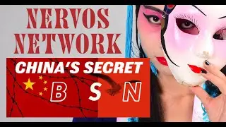 NERVOS NETWORK SECRET PARTNERSHIP: CHINA'S BLOCKCHAIN SERVICE NETWORK (BSN)