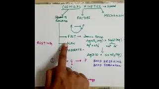 Rate of Reaction part 1 by Sarita yadav ( L- 1)
