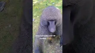 iraii riri nkariritana kwaria 😂🤣🤣🔥🤣🤣🔥🔥🤣🔥🤣🔥