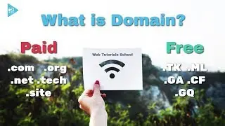 ডোমেইন কি - What is Domain | Web Tutorials School