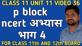 p block ncert exercise part 4 | class 11 unit 11 video 36