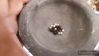 Garmi ka chickno Gola Kabootar ka