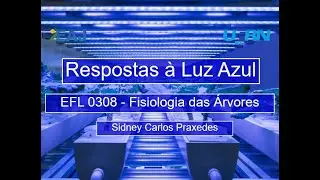 12 - Fotorreceptores - Respostas à luz azul - 1