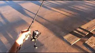 Fishing Uncut -  Abu Garcia Max SX Ultra-Light Review