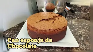 Pan esponja de chocolate para tres leches