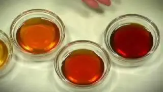 Burleson's Honey The Color of Honey