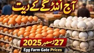 Pakistan Aaj Anday Ke Rates | Egg Farm Gate Prices Today | 27 December 2025