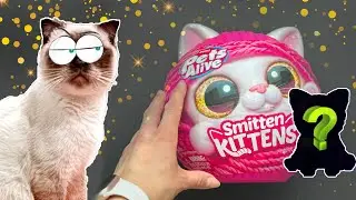 pets alive SMITTEN KITTENS розпакування з котом Оскаром КЕТМЯУ