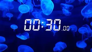Breath Hold Training - CO2 Tolerance  - 30 second breath holds
