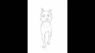 Dog walk cycle test (front view)